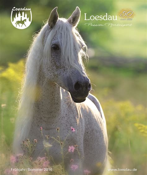 loesdsu|loesdau katalog.